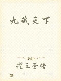 九藏天下