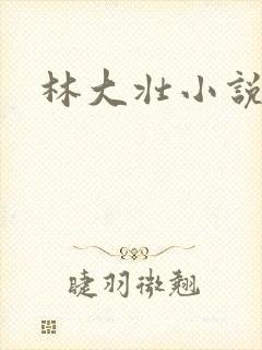 林大壮小说阅读