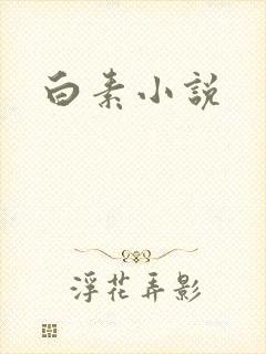 白素小说