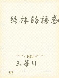 丝袜的诱惑小说