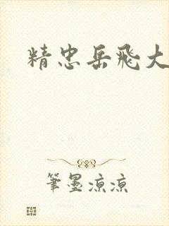 精忠岳飞大结局