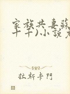 家族共妻苏苏(十千)小说免费