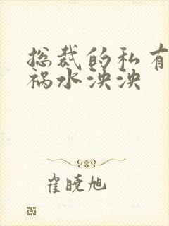 总裁的私有宝贝祸水泱泱