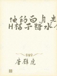 他的白月光HVH桔子糖水全文