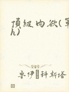 顶级肉欲(军高h)