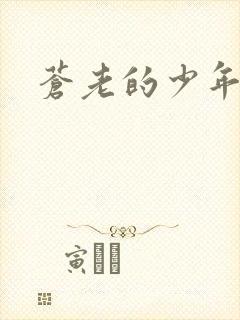 苍老的少年