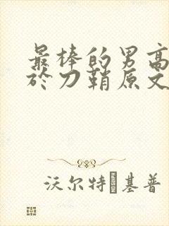 最棒的男高中生于刀鞘原文阅读