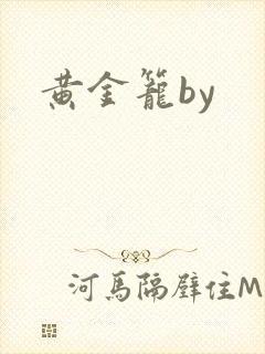 黄金笼by