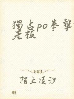 独占po拳击馆老板