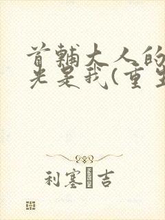 首辅大人的白月光是我(重生)