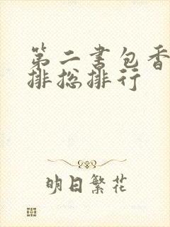 第二书包香辣肉排总排行