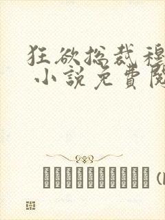 狂欲总裁穆非雪 小说免费阅读