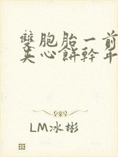 双胞胎一前一后夹心饼干年下