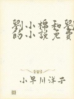 刘小棉和刘易文的小说免费阅读