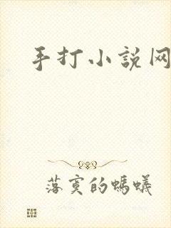 手打小说网