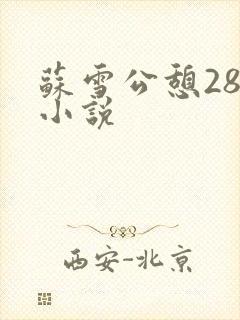 苏雪公憩28篇小说
