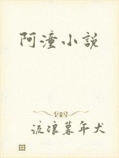 阿潼小说