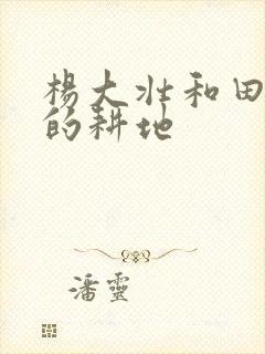 杨大壮和田桂花的耕地