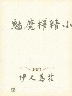 魅魔榨精小说