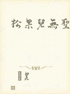 松果儿无圣光封面
