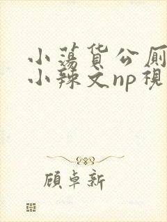 小荡货公厕h文小辣文np视频