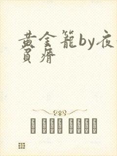 黄金笼by夜很贫瘠封面