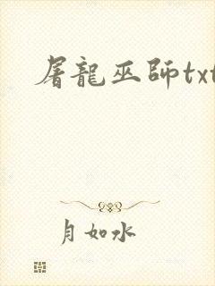 屠龙巫师txt