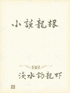 小说龙根