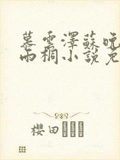 慕云泽苏晚晴夏雨桐小说免费阅读