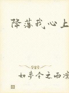 降落我心上封面