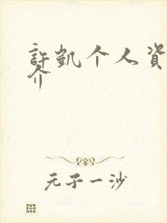 许凯个人资料简介