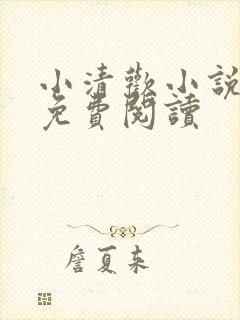 小清欢小说全文免费阅读