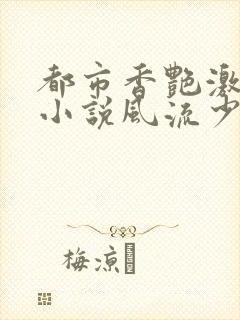 《都市香艳激情肉小说风流少年小说》小说封面