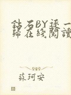 钻石BY逐一而归在线阅读