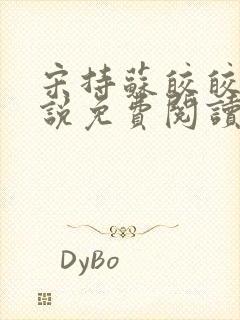 《宋持苏皎皎的小说免费阅读》小说封面