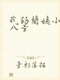 我的兰姨小说第八章