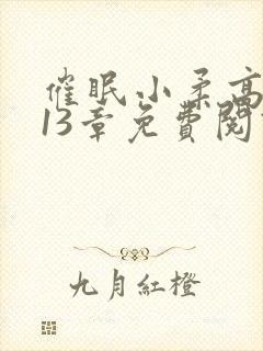 催眠小柔高达第13章免费阅读