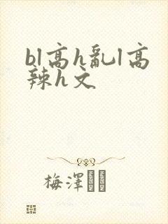 bl高h乱l高辣h文