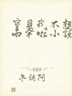 宝贝我不想带小雨伞啦小说