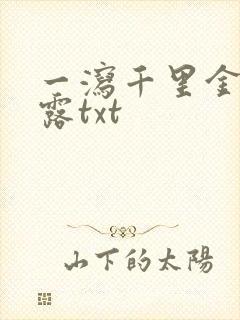 一泻千里金银花露txt