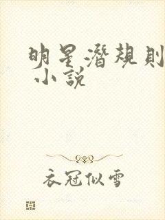 明星潜规则之皇 小说