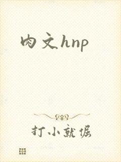 肉文hnp
