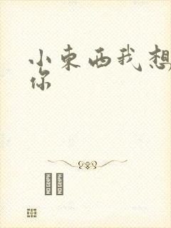 小东西我想弄坏你