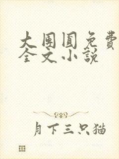 大团圆免费阅读全文小说