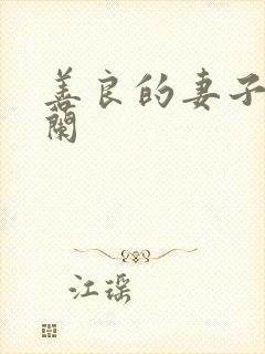 善良的妻子王晓兰