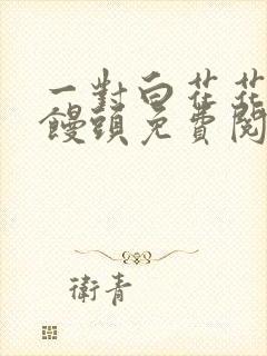 一对白花花的大馒头免费阅读