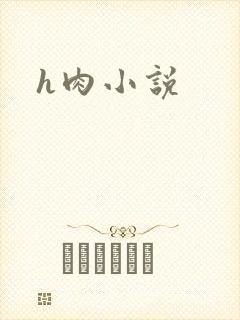 h肉小说