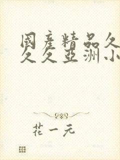 国产精品久久久久久亚洲小说