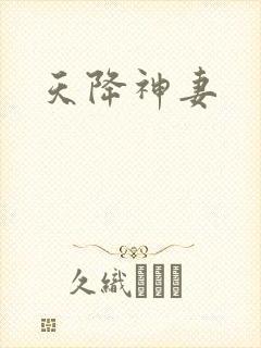 天降神妻