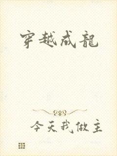 穿越成龙